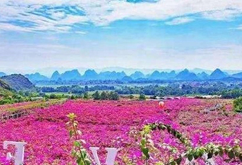 花台山景区第 14 张图片