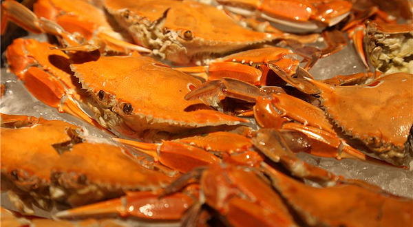 广州威珀斯酒店