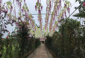 成都森林奇境亲子乐园第 11 张图片