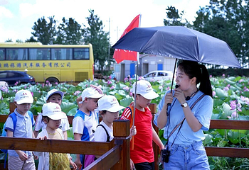 莲荷国乐园第 3 张图片
