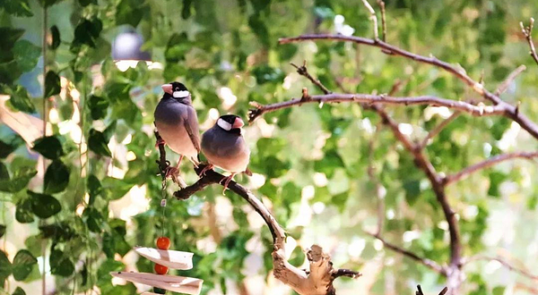 艾尼萌室内动物主题公园