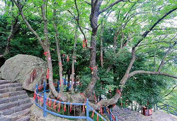 深溪大石浪风景区第 26 张图片