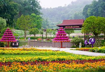 英山四季花海景区第 46 张图片