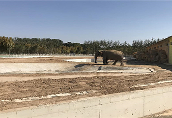 衡水野生动物园第 13 张图片