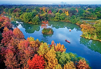西溪国家湿地公园第 13 张图片