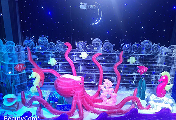 中原绿色庄园冰雪王国第 1 张图片