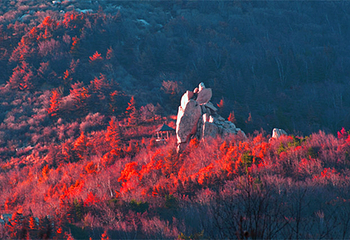 祖山风景区第 9 张图片