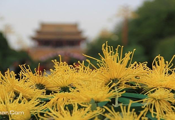 龙亭景区第 20 张图片