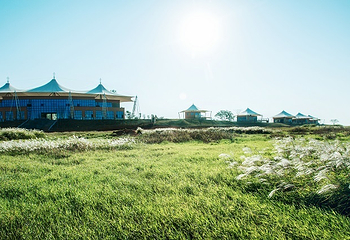 鄱阳湖国家湿地公园第 4 张图片