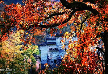 塔川第 14 张图片