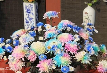 天波杨府第 3 张图片