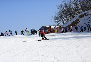 襄阳横冲国际滑雪场第 2 张图片