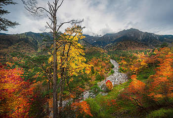 二郎山喇叭河风景区第 2 张图片