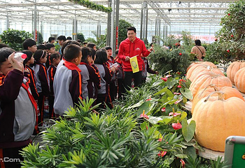 北戴河集发梦想王国第 49 张图片