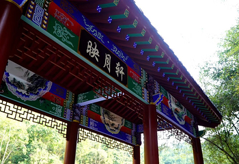 大河背风景区第 6 张图片