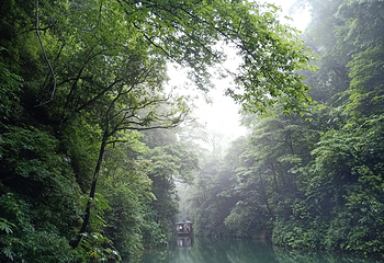 青城山第 2 张图片