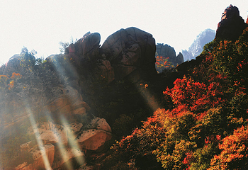 祖山风景区第 13 张图片