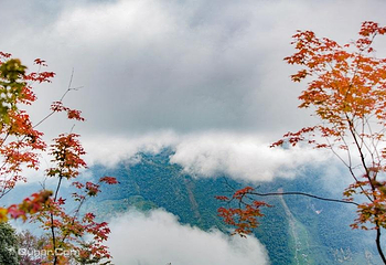 九皇山第 41 张图片
