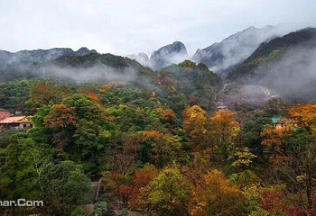 黄山-温泉景区第 9 张图片
