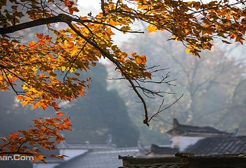 塔川第 11 张图片