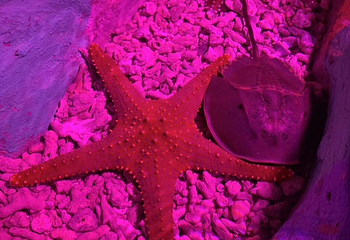金鹰动物世界第 19 张图片