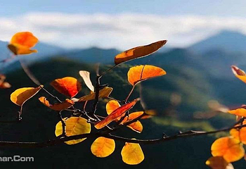 鸡冠洞第 6 张图片