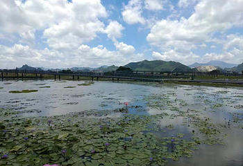 荷美覃塘·湖美四季田园综合体第 8 张图片