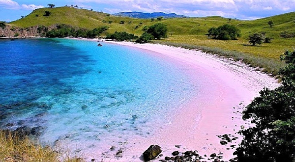 粉色沙滩海钓-LOMBOK FISHING