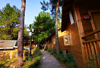 清远金子山原生态旅游风景区第 66 张图片