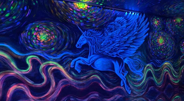 昆明独角兽星空艺术馆