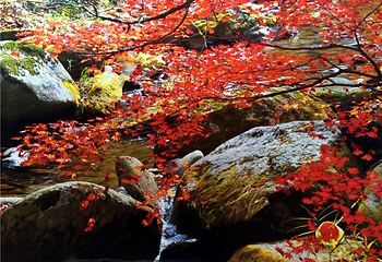 清远金子山原生态旅游风景区第 55 张图片