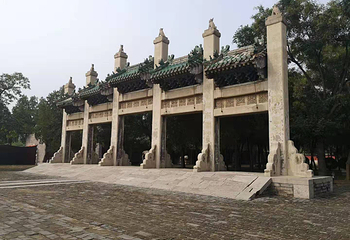 袁林第 4 张图片