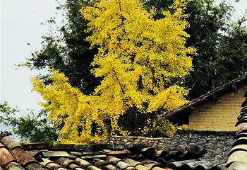 清远金子山原生态旅游风景区第 72 张图片