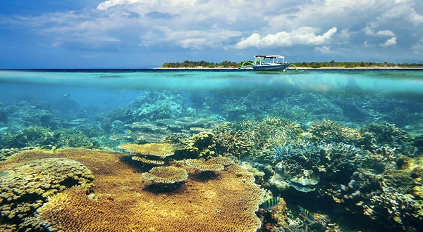 吉利M岛-GILI MENO