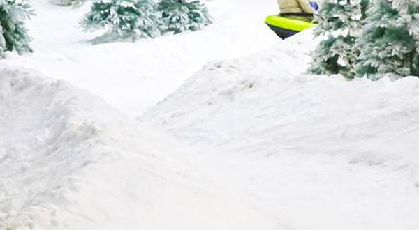 苏州艾瑞克冰雪仙境乐园