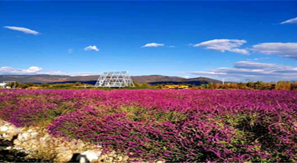 大理伊美西海庄园