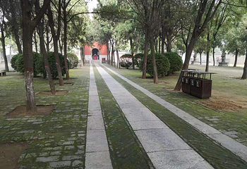 袁林第 7 张图片