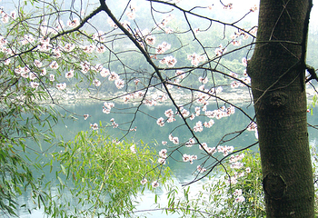 三峡湿地—杨守敬书院第 11 张图片