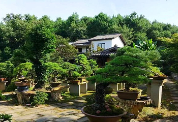 抱朴谷森林公园第 1 张图片