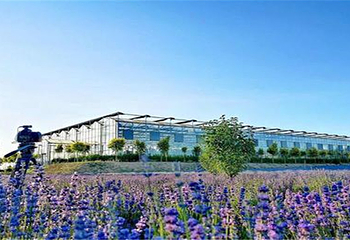 张家口达华建国酒店温泉第 7 张图片