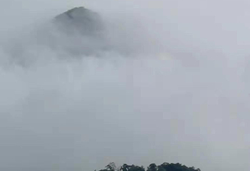 五指山水满河热带雨林风景区第 6 张图片