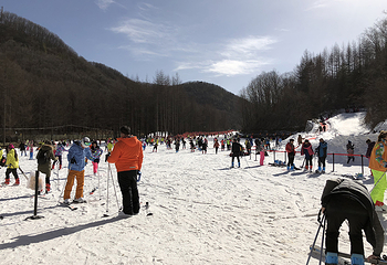 神农架中和国际滑雪场第 14 张图片