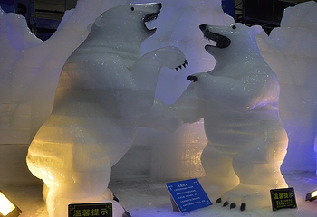 长津冰雪梦幻王国第 5 张图片