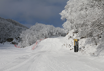 神农架中和国际滑雪场第 23 张图片