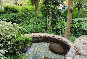 漳州云顶温泉大酒店温泉第 4 张图片