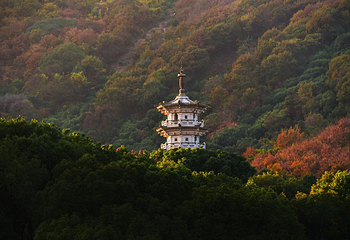 灵山胜境第 3 张图片