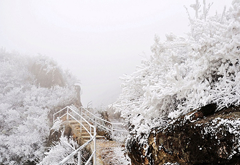 清远金子山原生态旅游风景区第 99 张图片