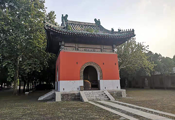 袁林第 10 张图片