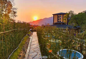 四季花海花乐汤温泉第 8 张图片