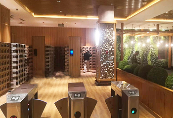 巴斯漫第 12 张图片